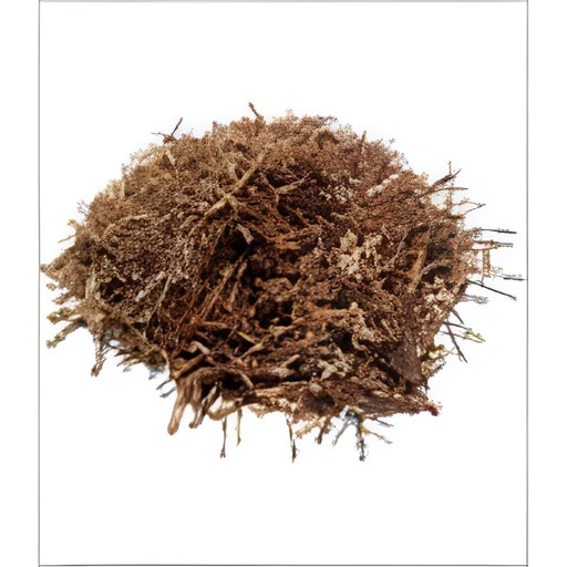 PLAIN SALI (SUPARI) 400 GM