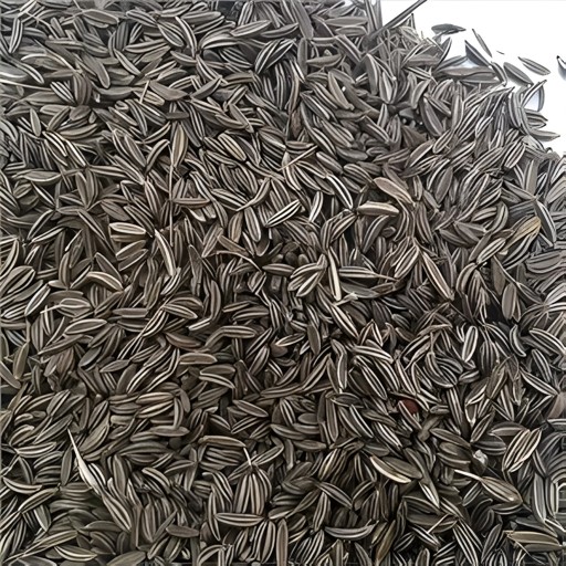 Grainmarket Shahi Jeera 200 GM
