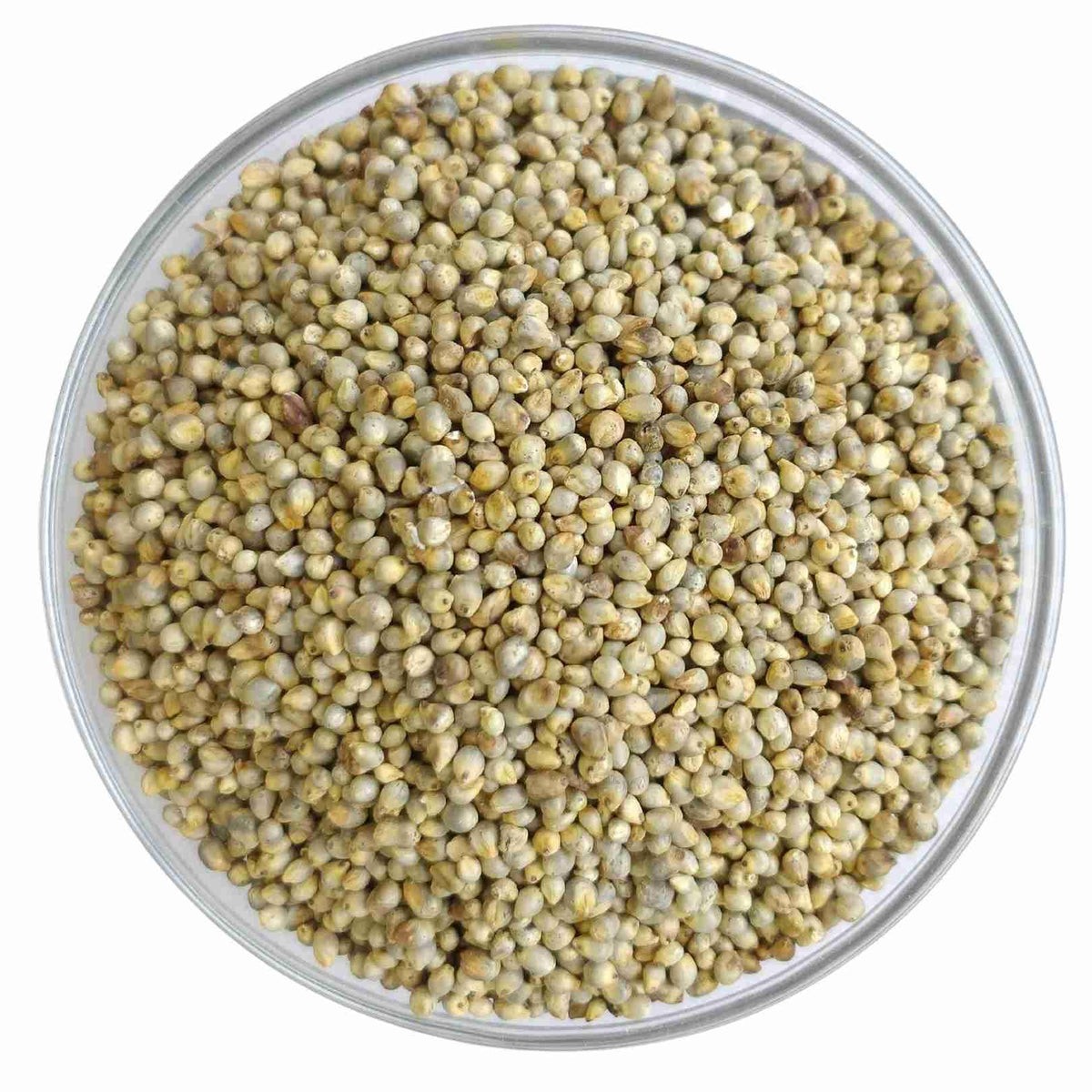 PEARLED PEARL MILLET  500 GM