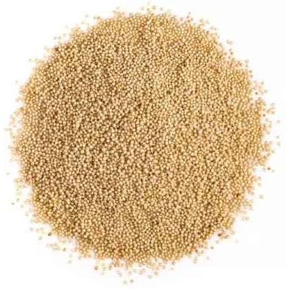 Tasty Rajgira 100 GM