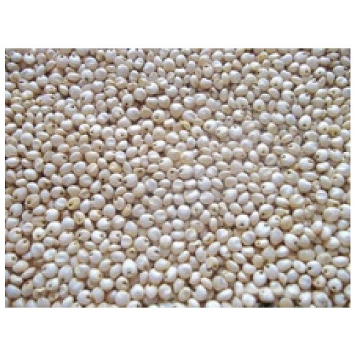 JOWAR MILLET MANNA 4.5 KG