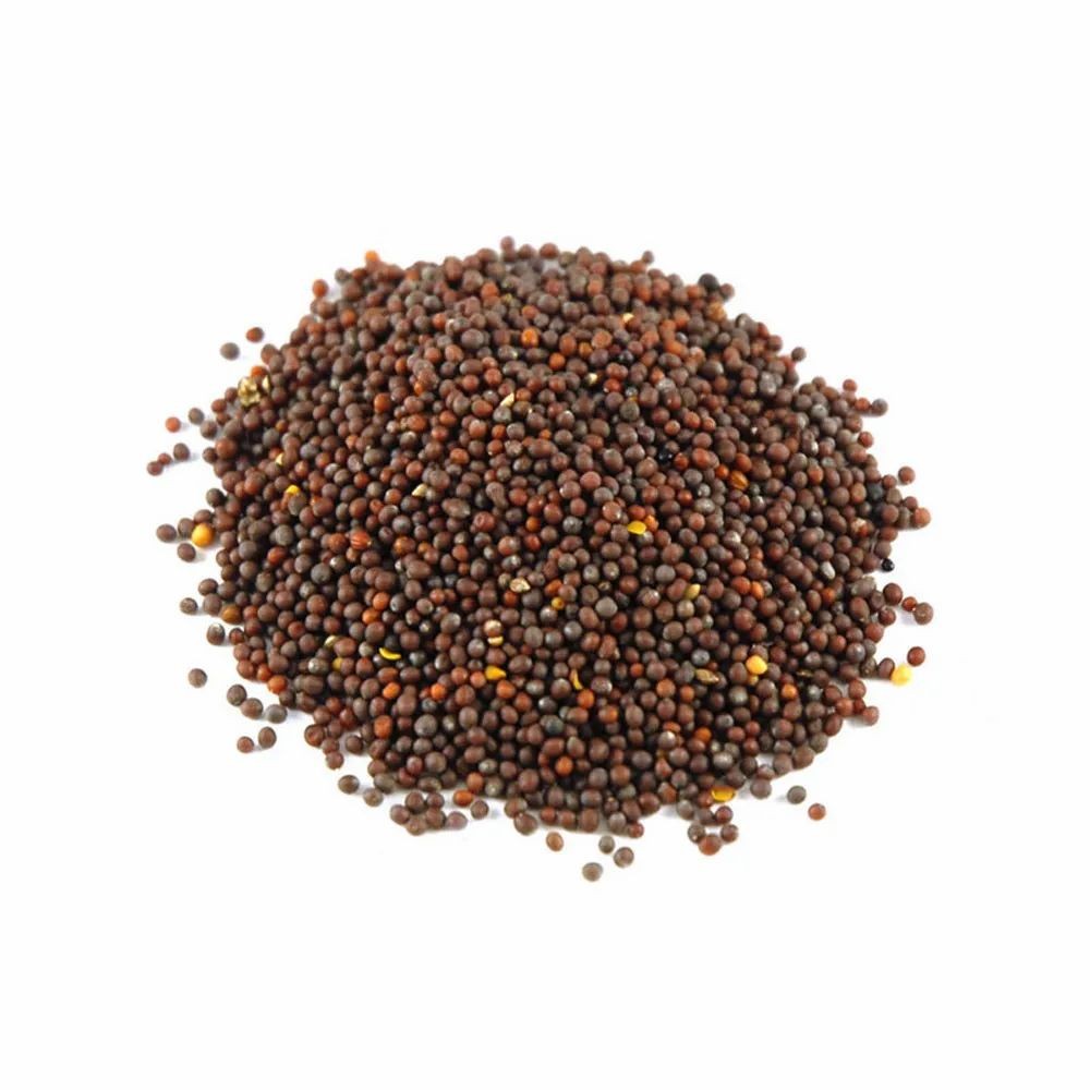 Greenz Mustard Seeds Y 100 GM
