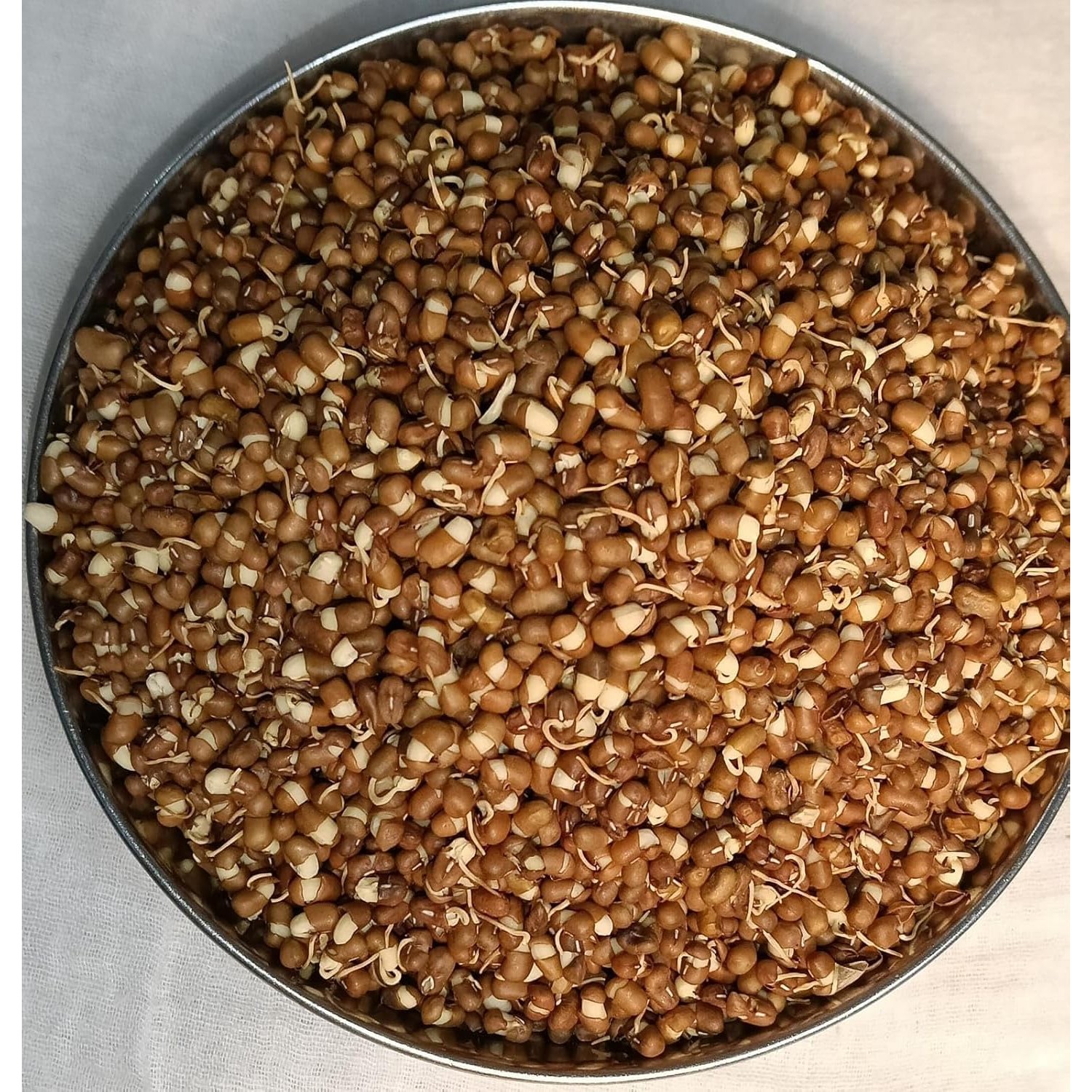 Gure Moth Beans 2 LBS