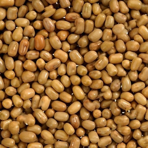 SANJEEVANI MOTH DAL ORGANIC 4 LBS