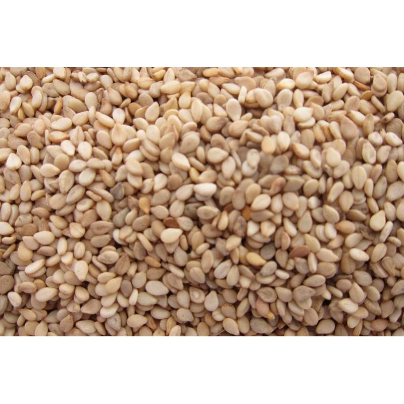 SANJEEVANI SESAME SEED 8 OZ