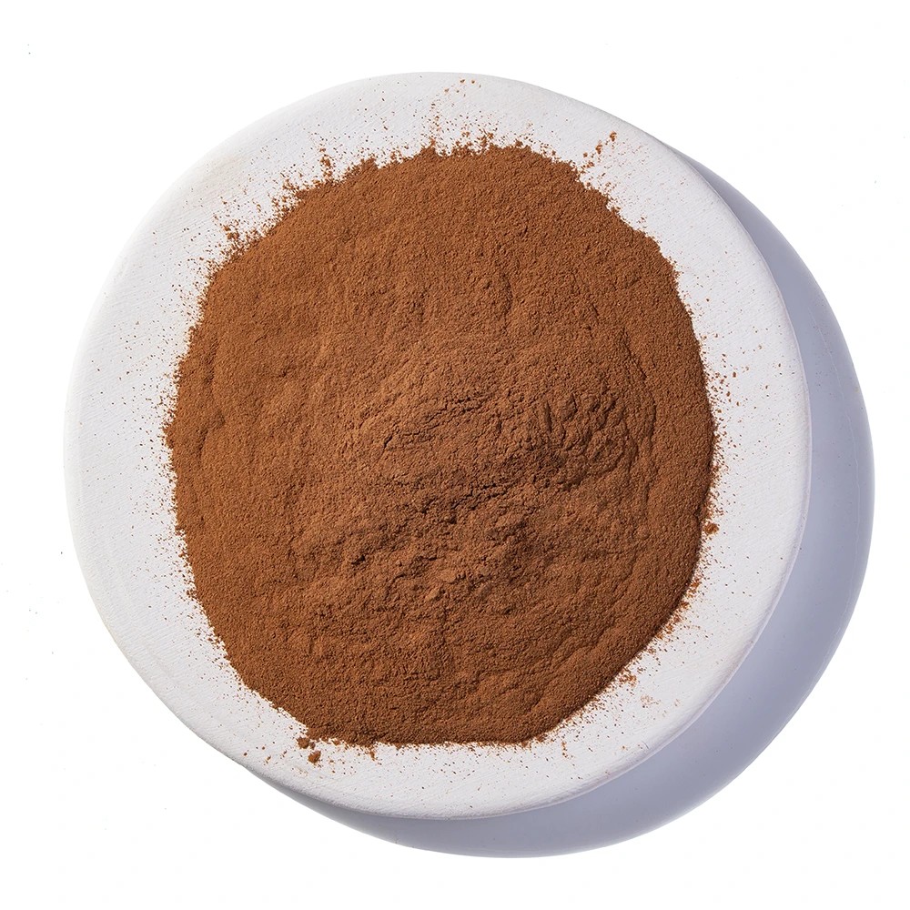 SANJEEVANI ORGANIC CINNAMON POWDER 90 GM