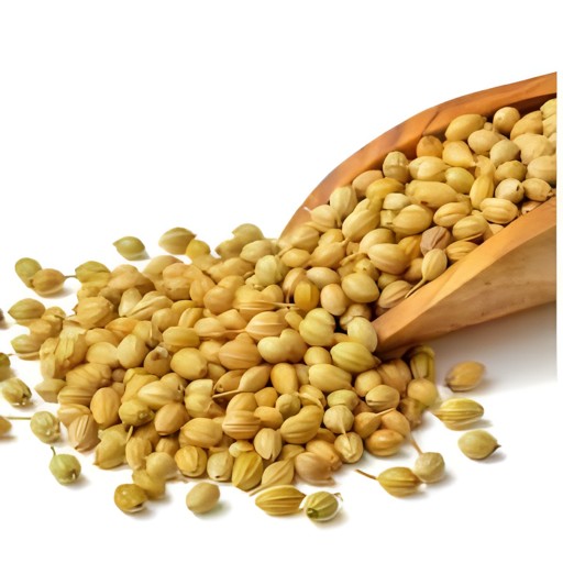 SANJEEVANI CORIANDER WHOLE 4 OZ