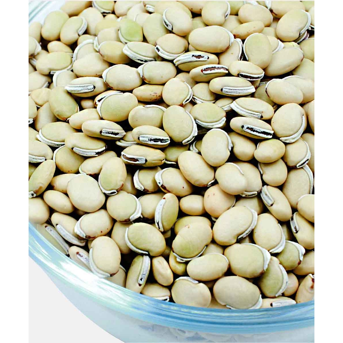 BW FRZ SURTI PAPDI LILVA 315 GM