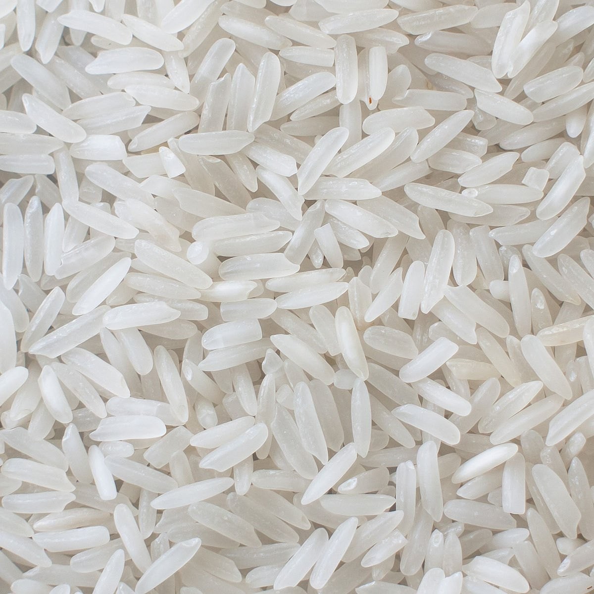JUST ORG PONNI RAW RICE 10 LBS
