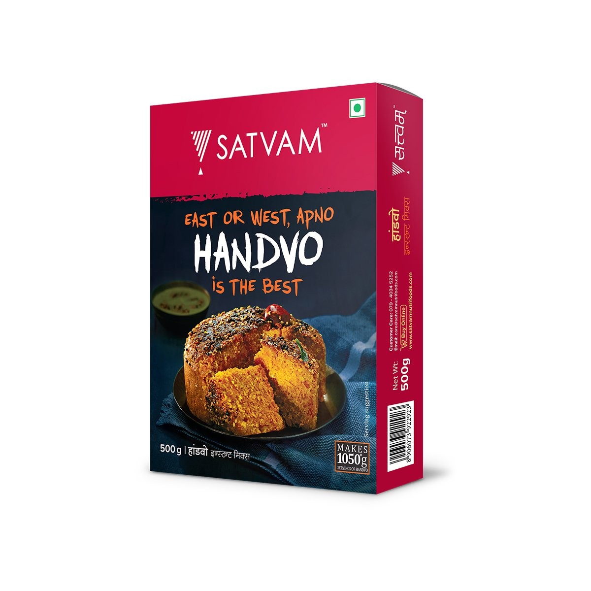 SATVAM HANDVO MIX 500 GM