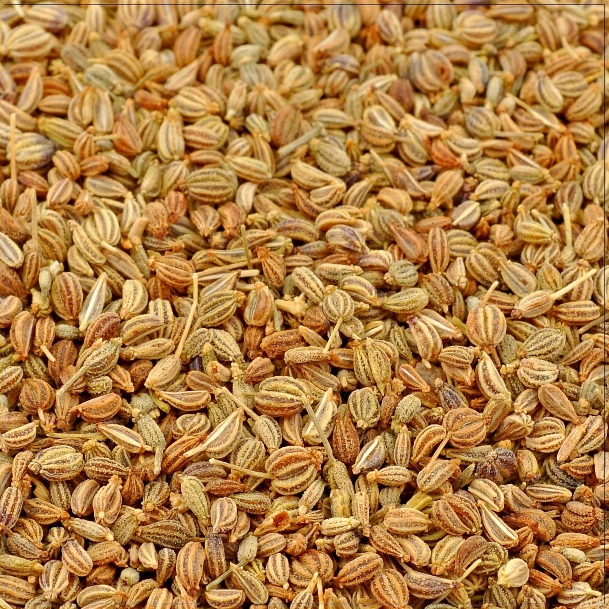 Swetha Ajwain Seeds 200 GM