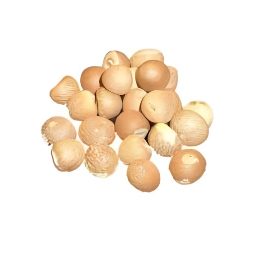 POOJA HUT NUTS SALI 100 GM
