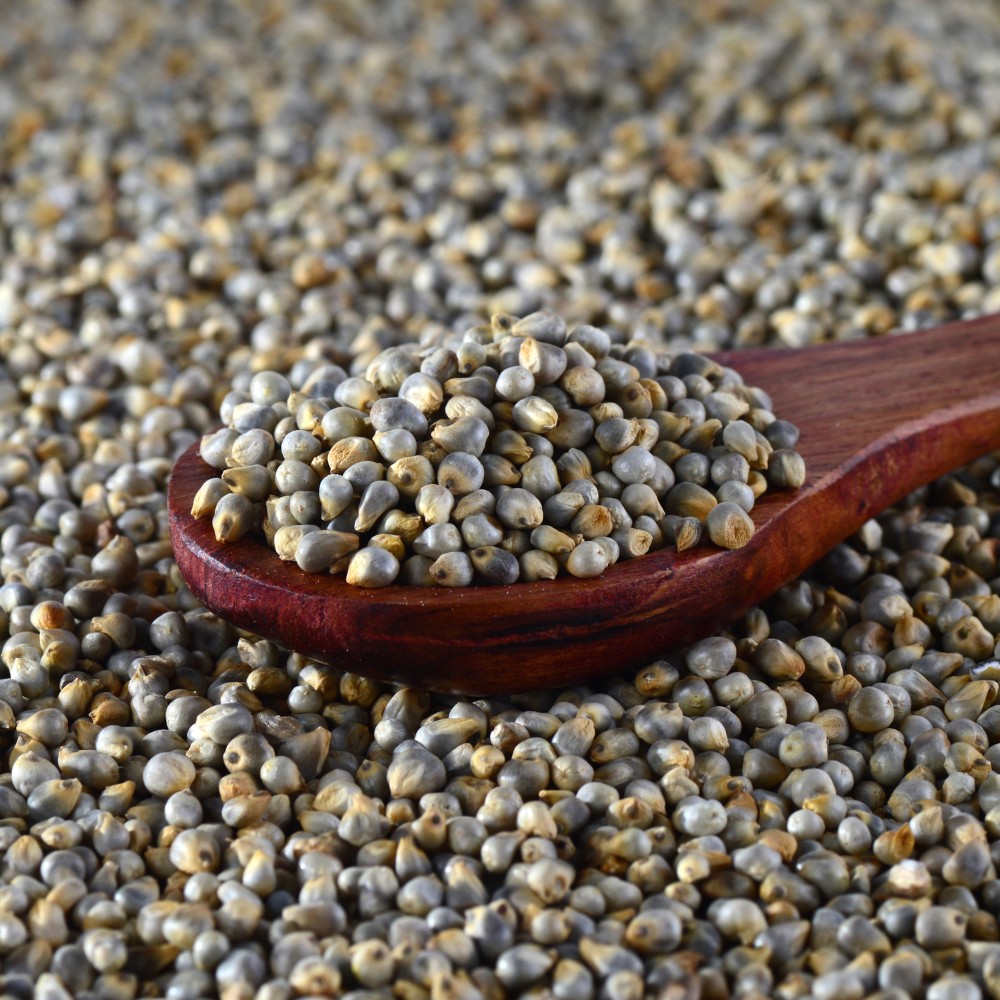 Suvaas Pearl Millet 4 LBS