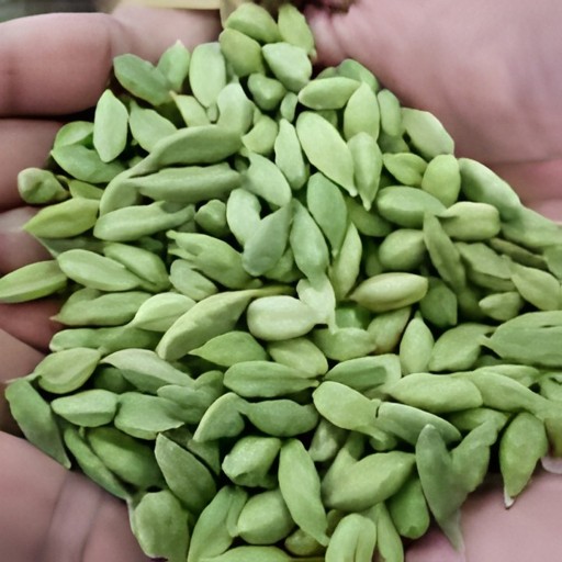 Suvaas Green Cardamom 100 GM