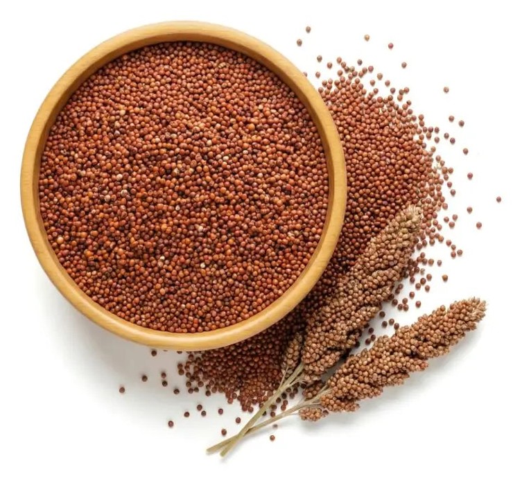 Native Foods Finger Millet 1 LBS