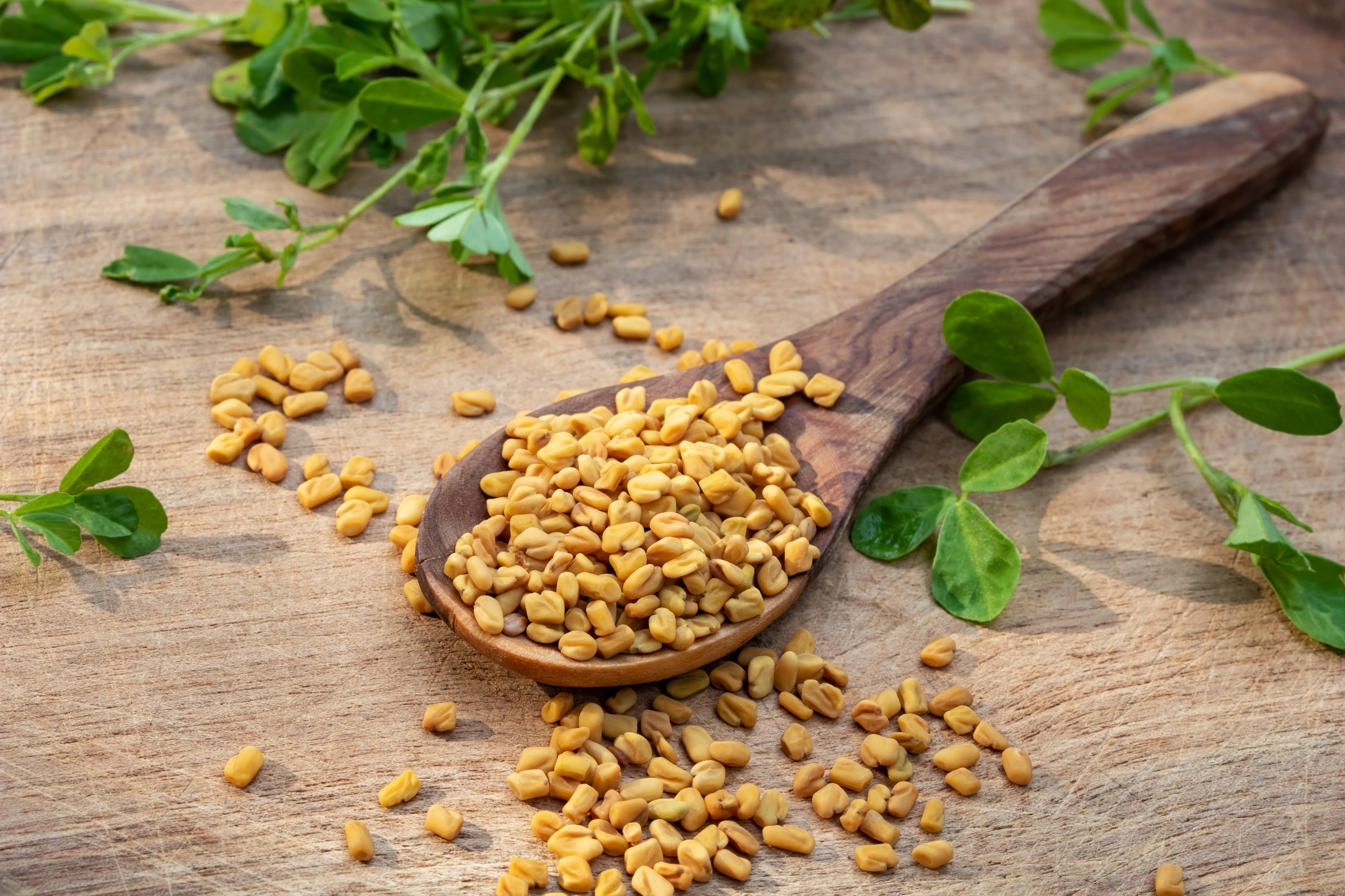 CNS Fenugreek Seed  300 GM