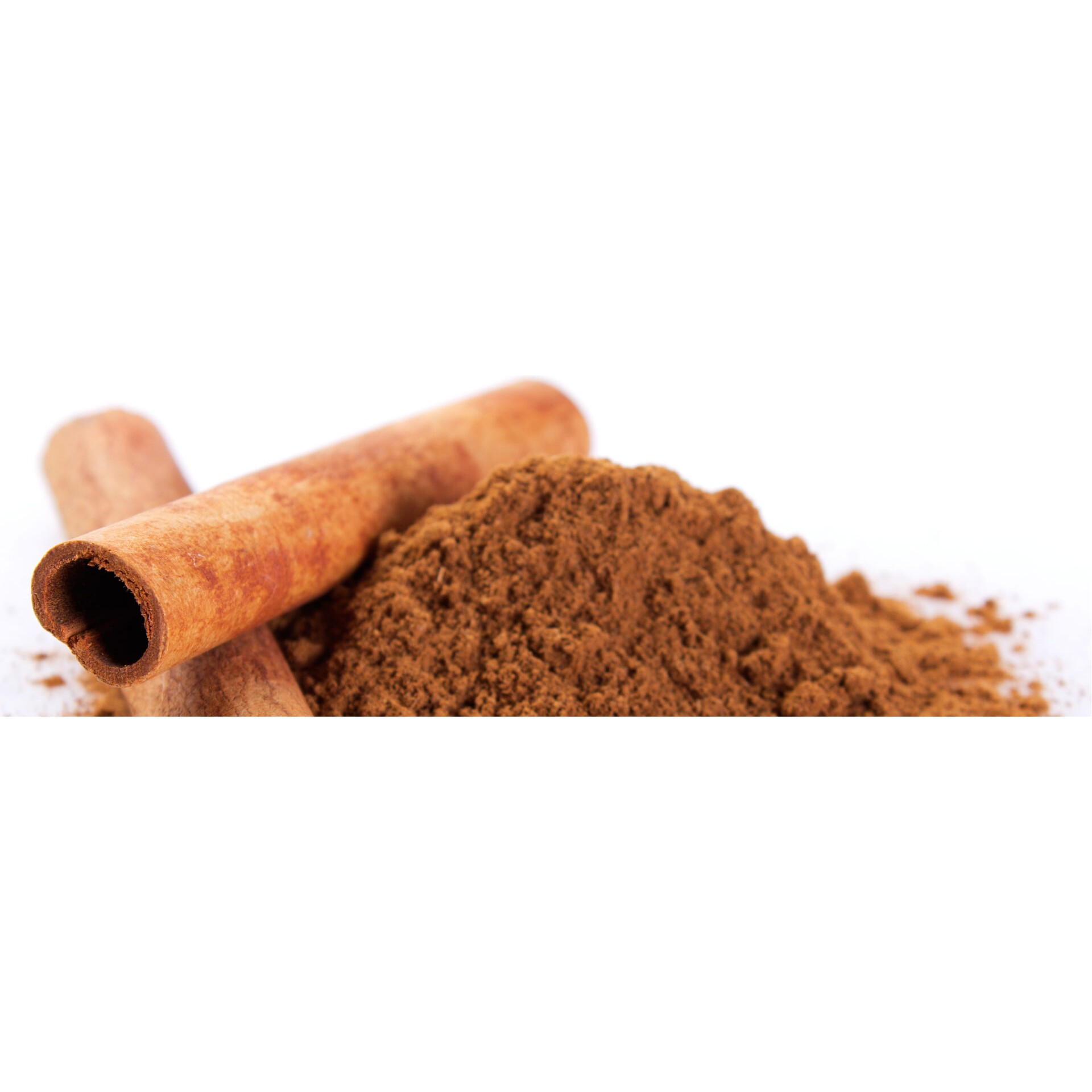 CNS Cinnamon Powder  300 GM