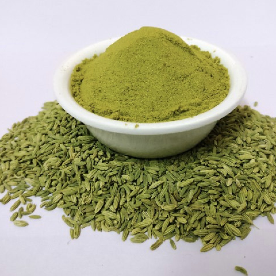 CNS Fennel Powder  100 GM