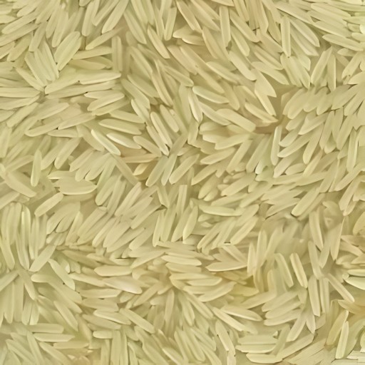 DECCAN RAJABHOGAM RICE