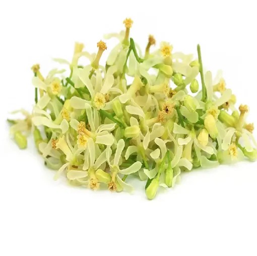 FRESH NEEM FLOWER W/ LEAVES 1 EACH