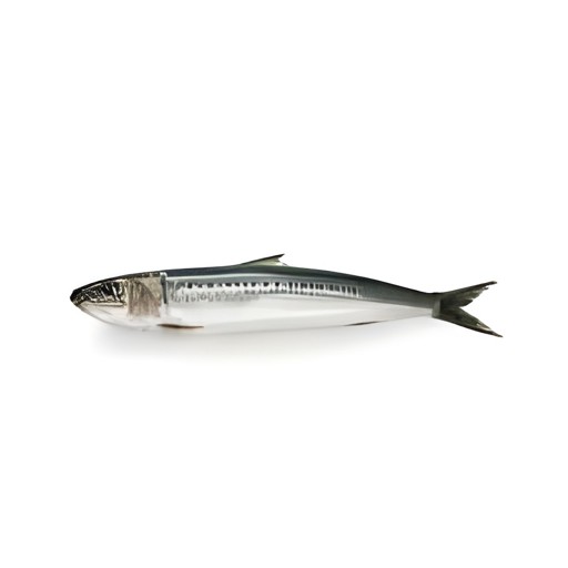 OB SARDINE WHL FISH 2 LBS