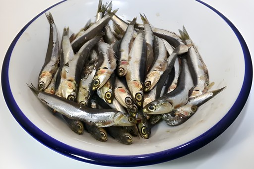 Ocean Bell Anchovy Dressed Medium 2 LBS