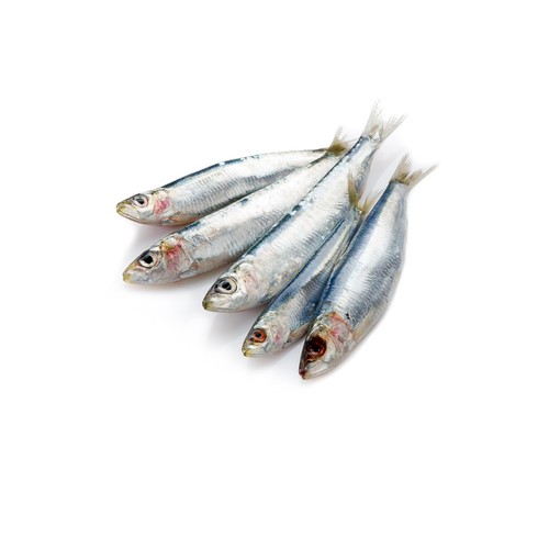 OB Sardine Whole 2 LBS 2 LBS