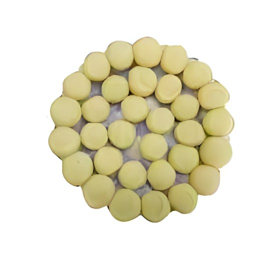 Sangeeta Mawa Peda 320 GM