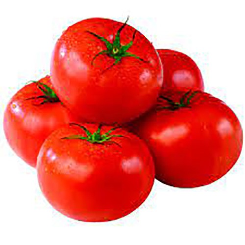 HOT HOUSE TOMATOES 1 LBS