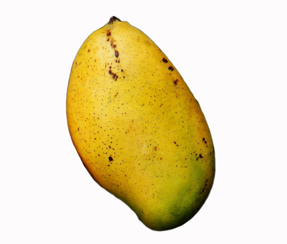 HAITIAN  MANGO LOOSE 1 CASE