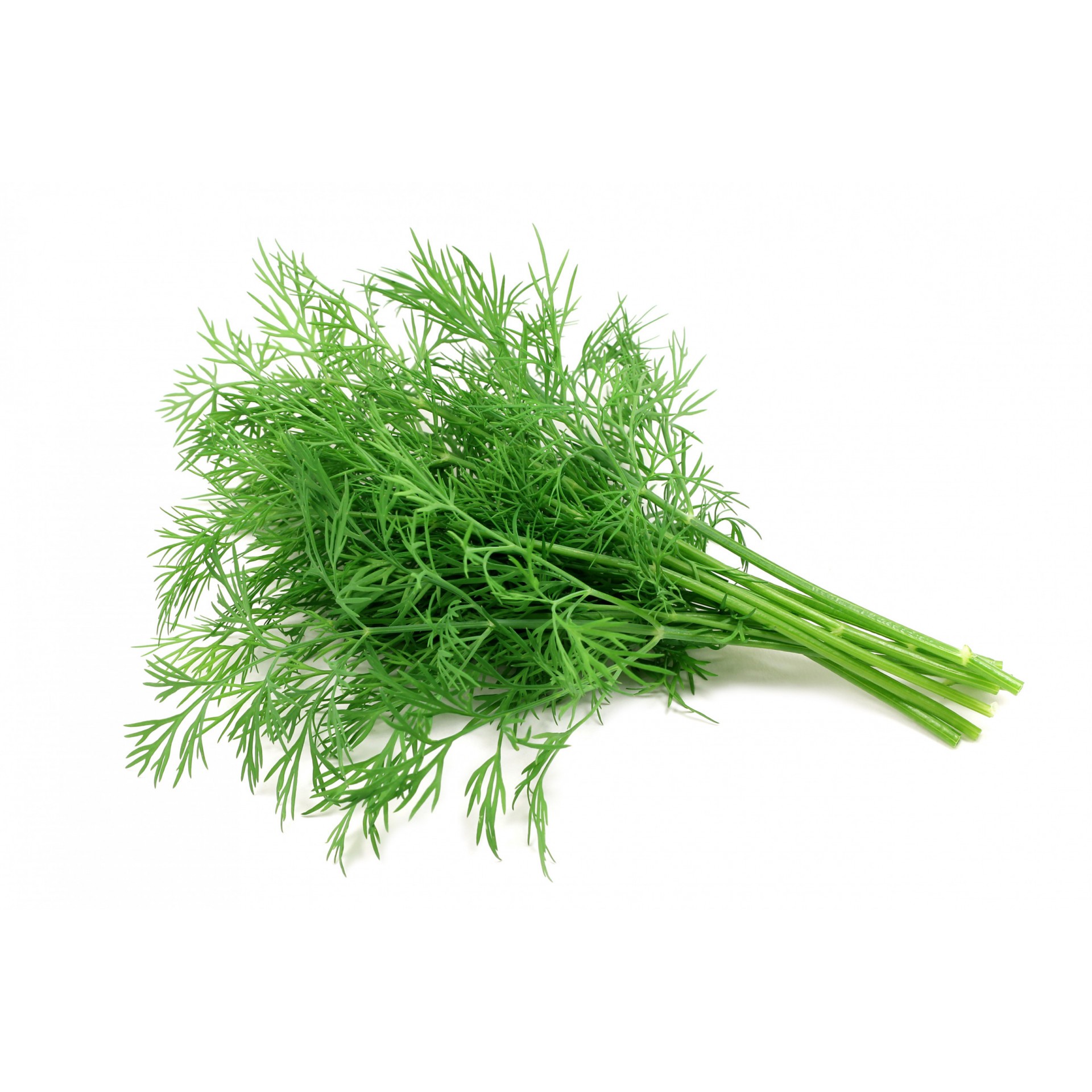 Dill Bunche 15 Pc 15 PCS