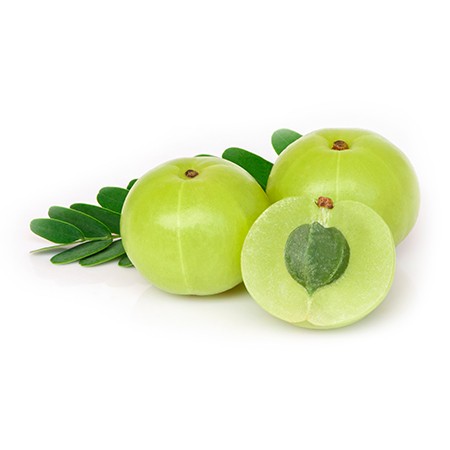 AMLA 1 PACK