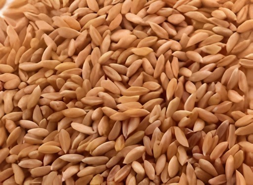Real Bhaila Wheat 20 LBS