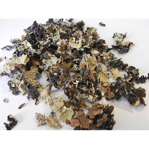 REAL: DAGGAR PHOOL  STONE FLOWER   100 GM