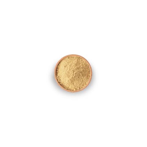 SFA_AMLA POWDER IN STANDY POUCH 200 GM
