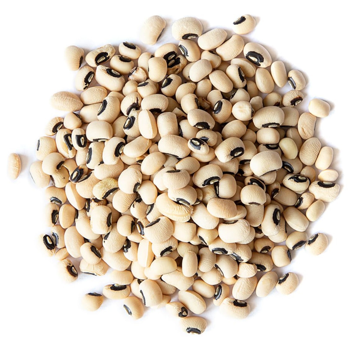 ORGANIC BLACK EYE BEANS 24 OZ
