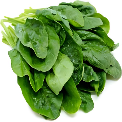 FIELD FRESH FARMS SPINACH BAG 283 GM