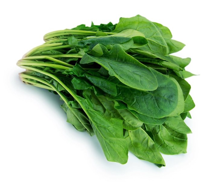 FIELD FRESH FARMS SPINACH BAG 283 GM
