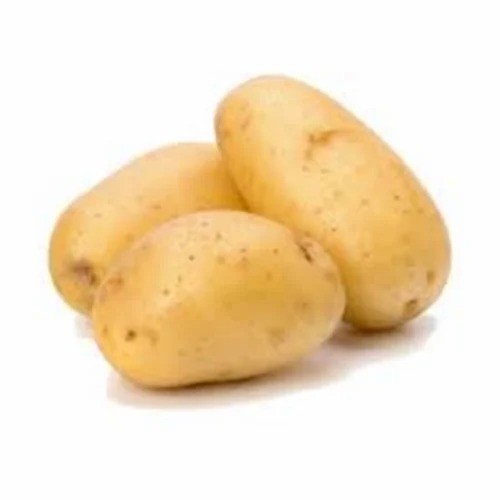 LOOSE POTATO BIG 1 LBS