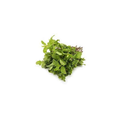 JIYA'S MINT LEAVES 100 GM
