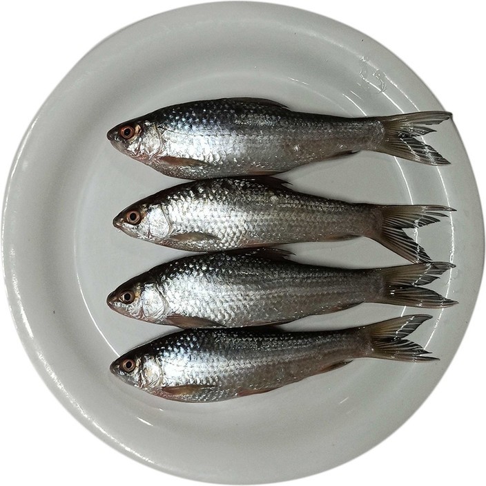 SAF BATA FISH CLEANED  450 GM