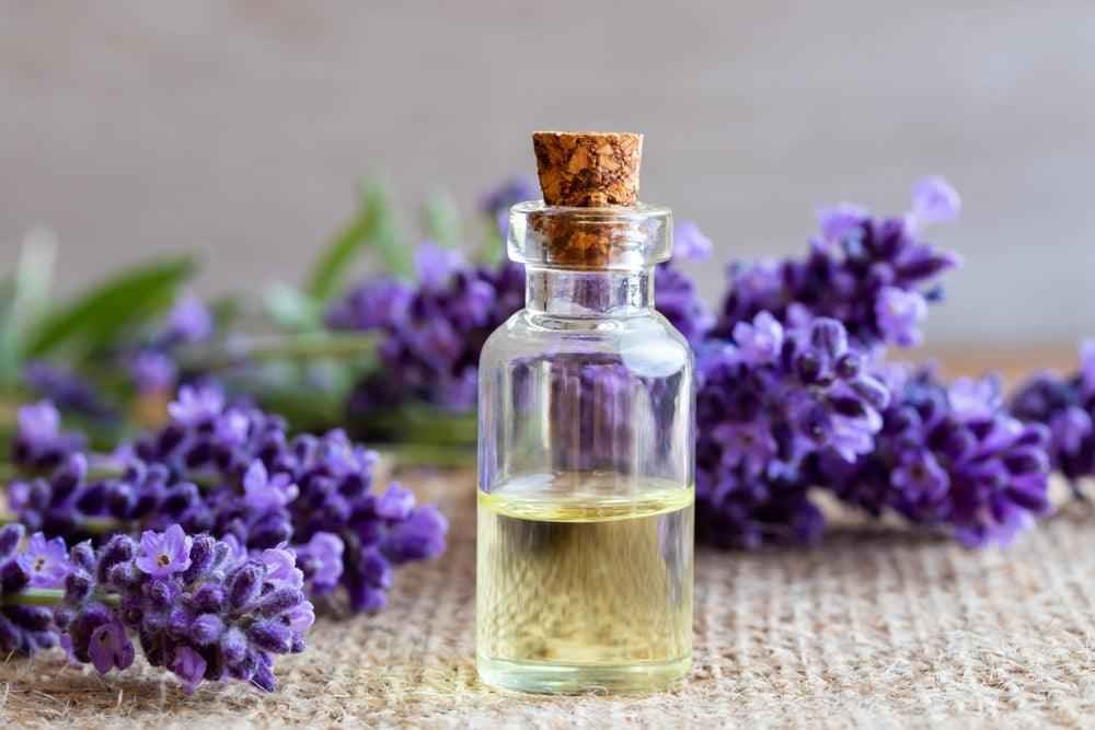 LAVENDER OIL HEMANI 30 ML
