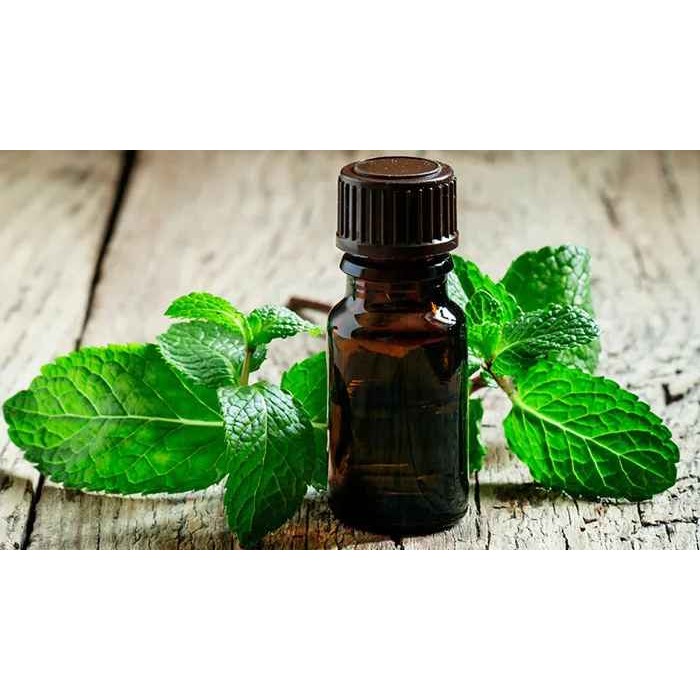 MINT OIL 150 ML