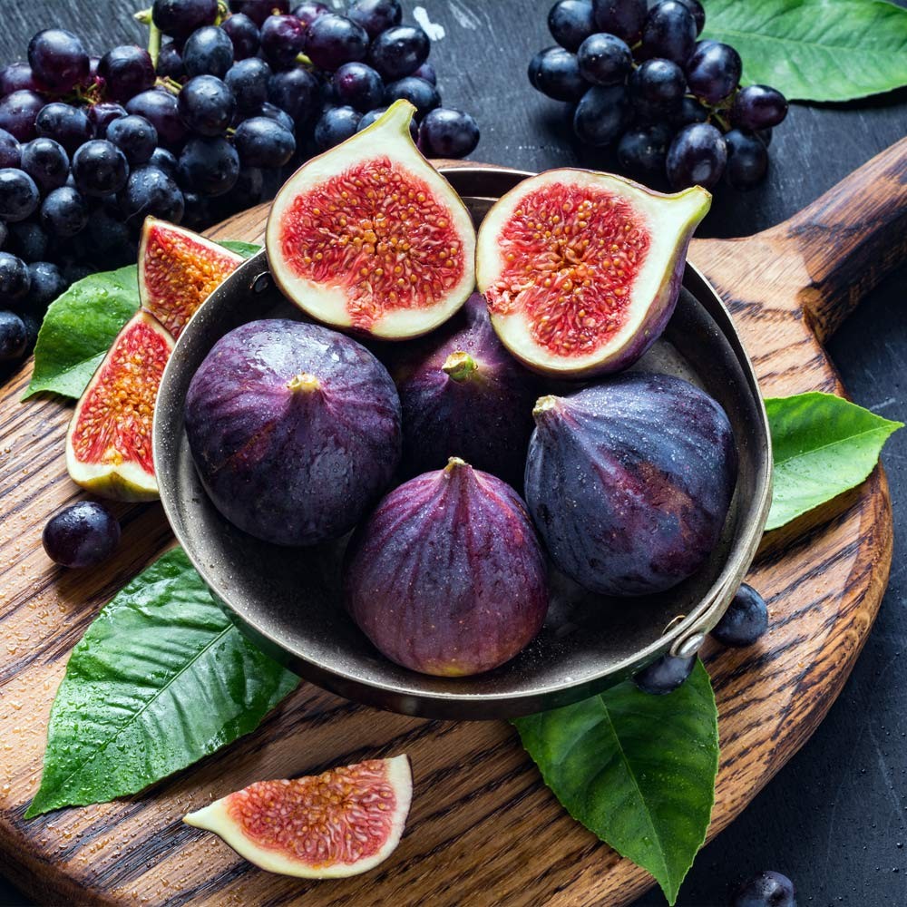 Black Fig 8 OZ