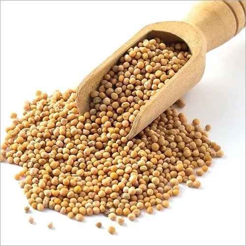T.Chef Mustard Seeds 5 LBS