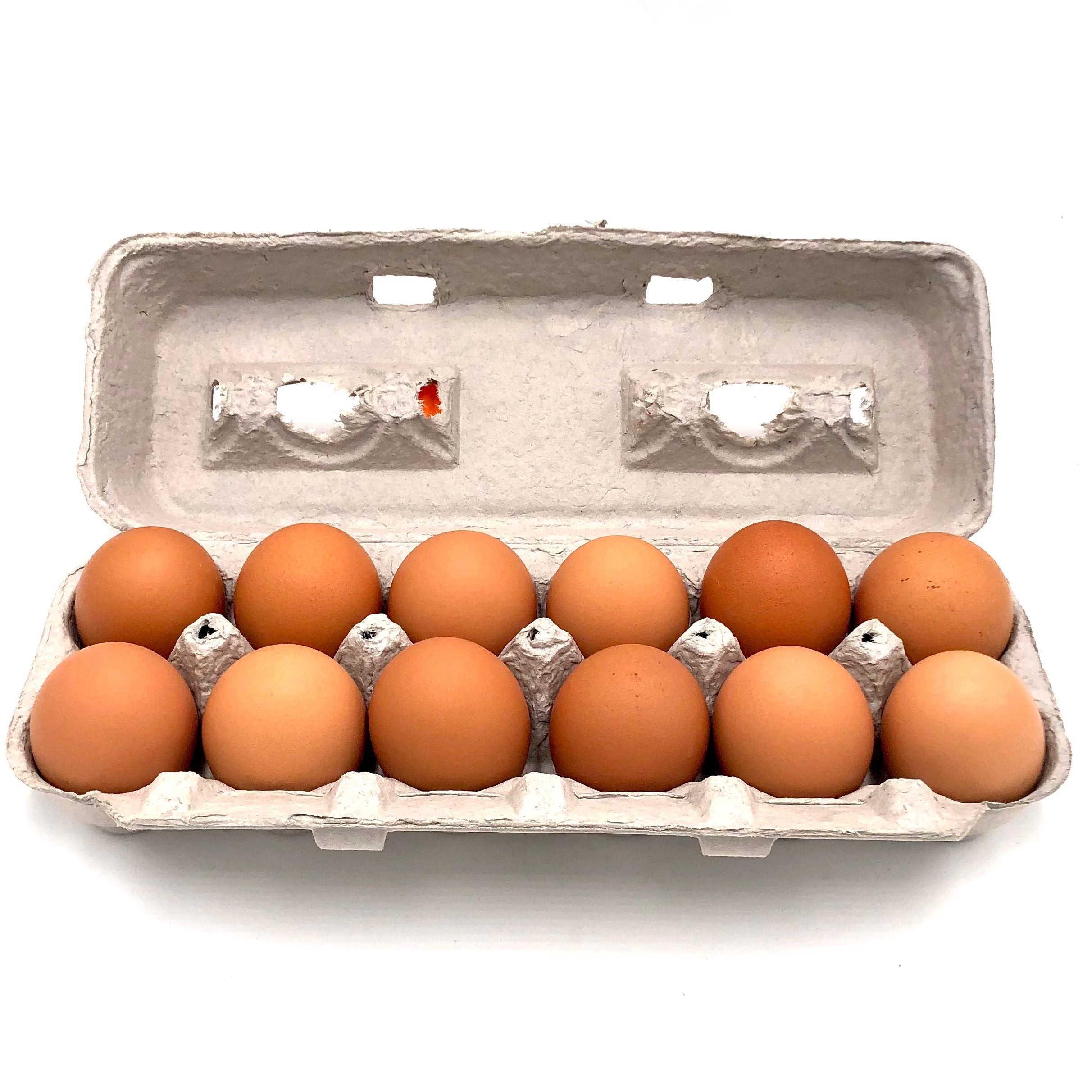 Farm Fresh Large  Brown Egg 1 DOZEN