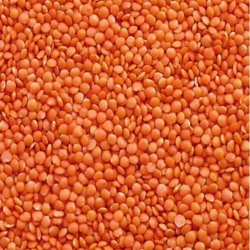 Suncorp Masoordal 4 LBS