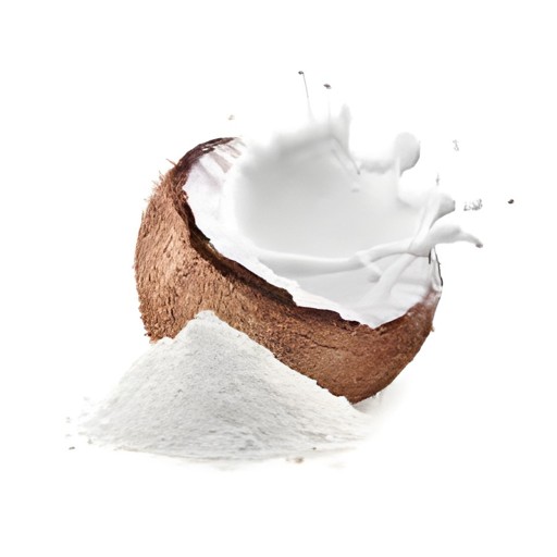 Zanlyn Coconut Powder 12 OZ
