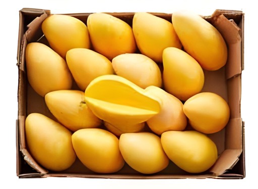 Ataulfo Mango 16 COUNT