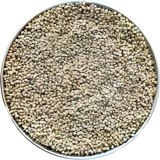 Devam Pearl Millet